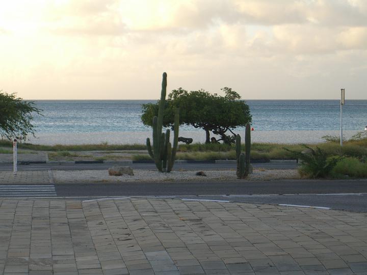 Aruba - January 2008 036.JPG